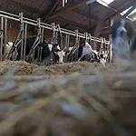 Ferme St Martin