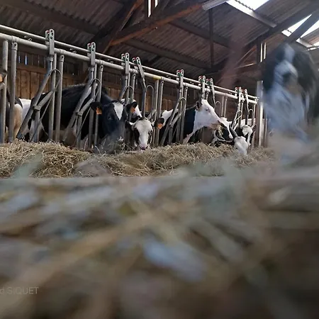 Ferme St Martin